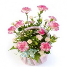 15pcs Pink Carnations in a Basket